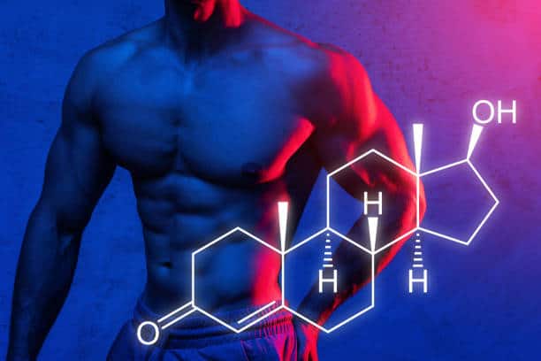 🥇 Everything You Need to Know About Testosterone l HoumanMD