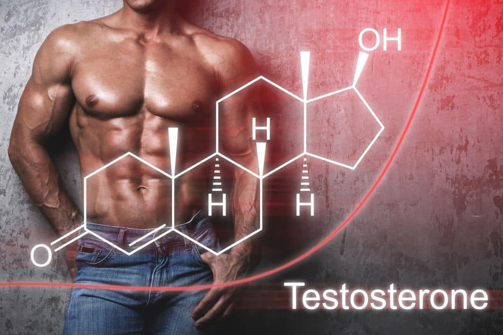 Total Testosterone for MEN