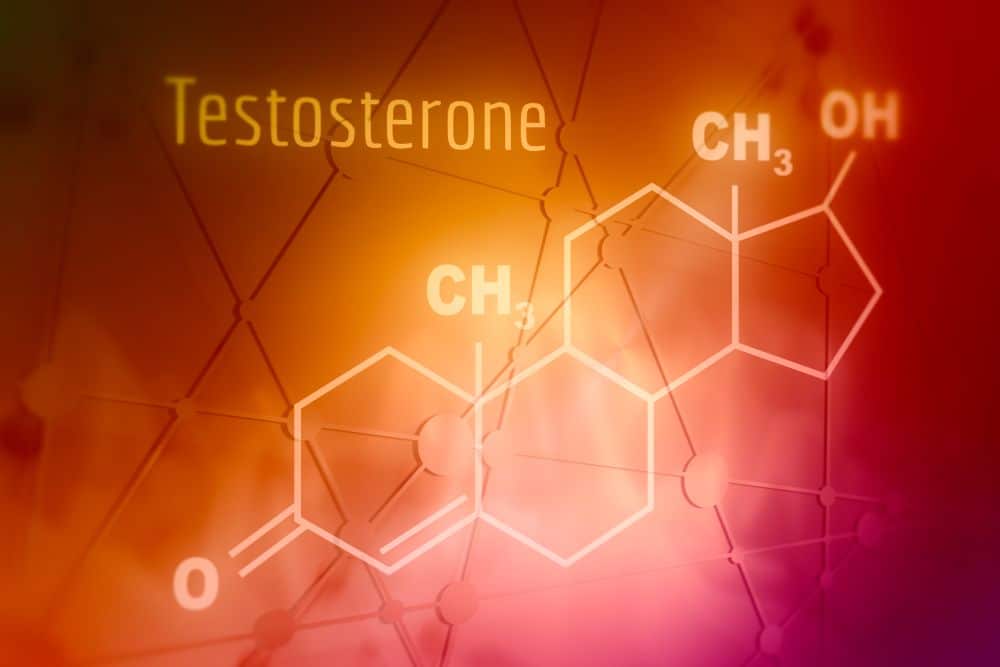 Chemical Molecular Formula Hormone of Testosterone