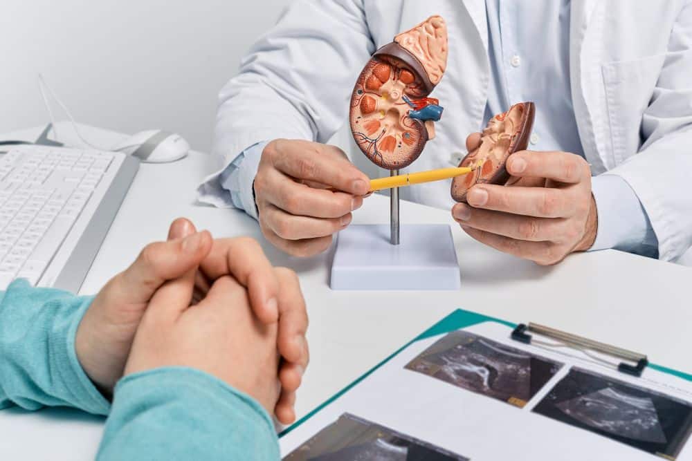 Urologist explaining kidney stone treatment to a male patient.