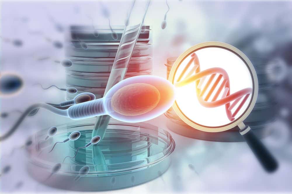 a sperm and a magnifying glass showing DNA