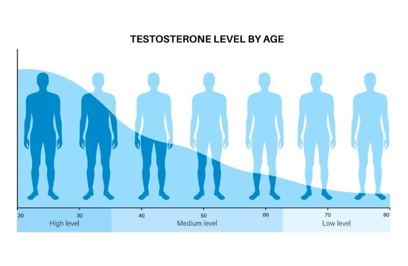sex hormone production by age | testosterone level chart