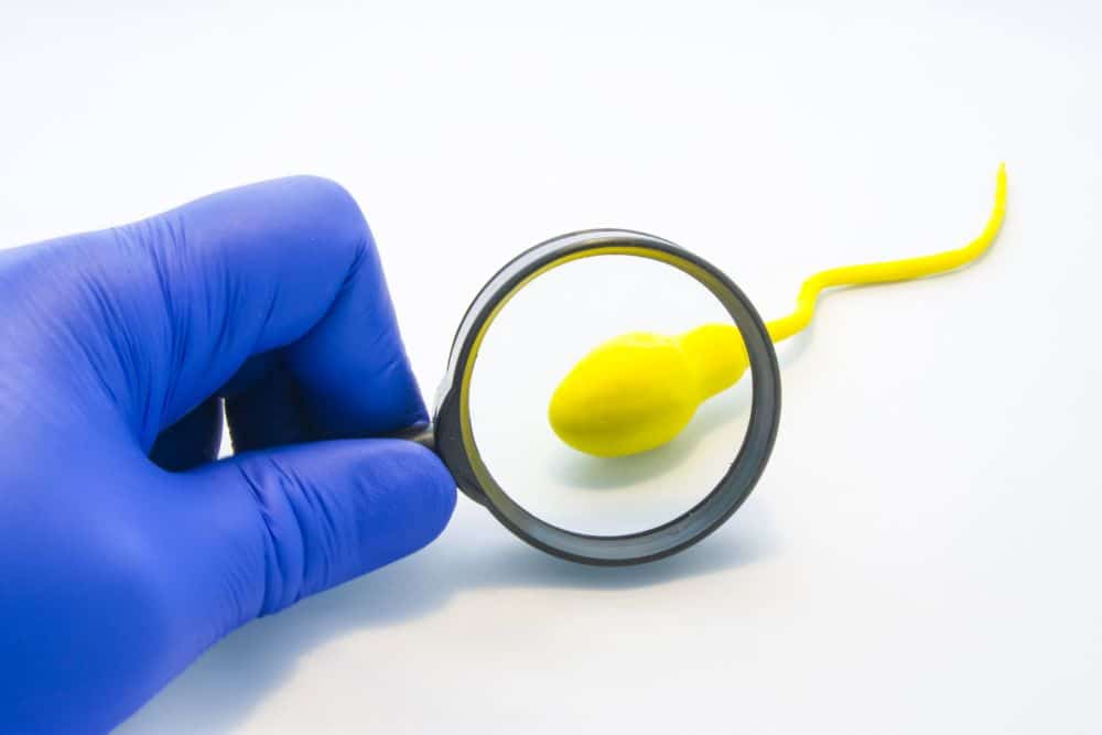 a hand in medical glove holding a magnifying glass over a semen