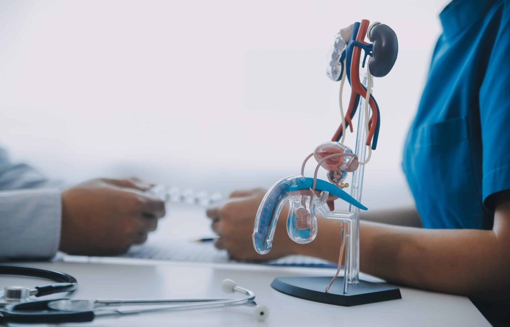 A medical professional discusses with a patient at a desk