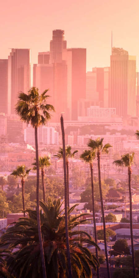 Tall palm trees in the foreground with a cityscape of skyscrapers in the background during a hazy sunset.